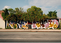 Mendoza: Ideal for wine lovers and a relaxed lifestyle.